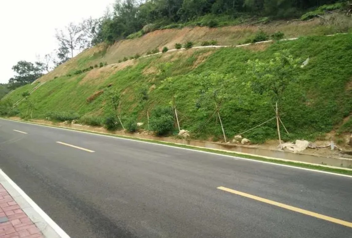 高速公路边坡绿化工程案例