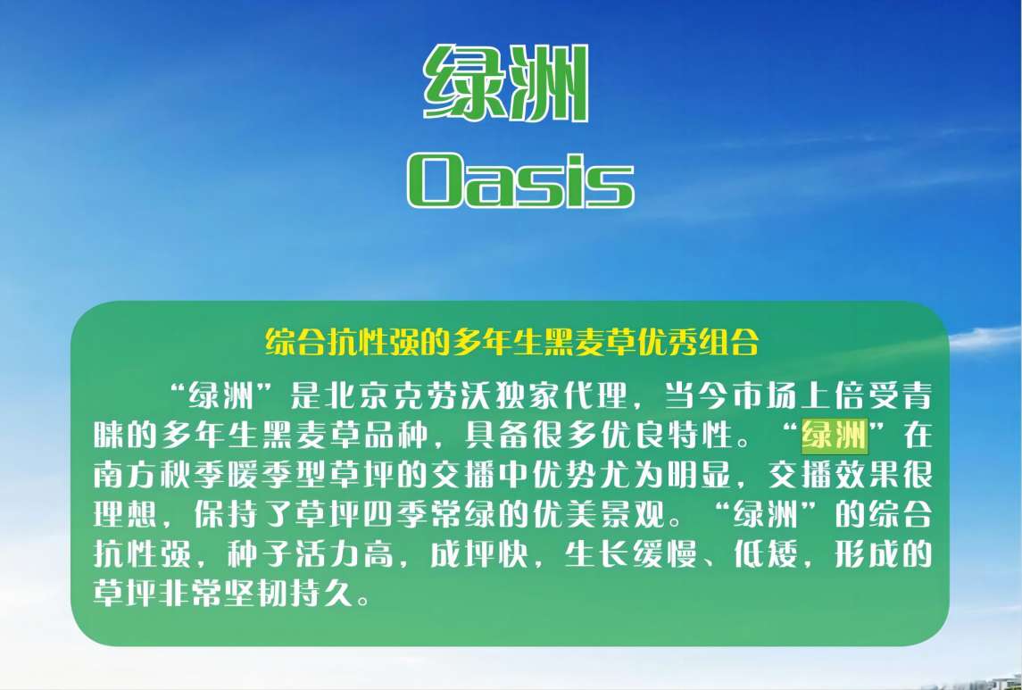 黑麦草-绿洲