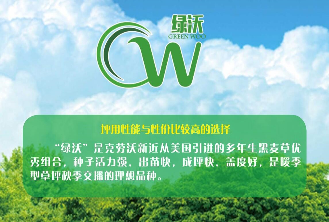 黑麦草-绿沃