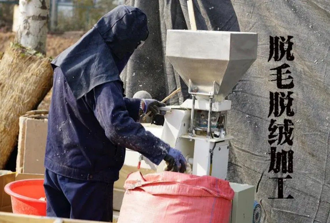 脱毛加工