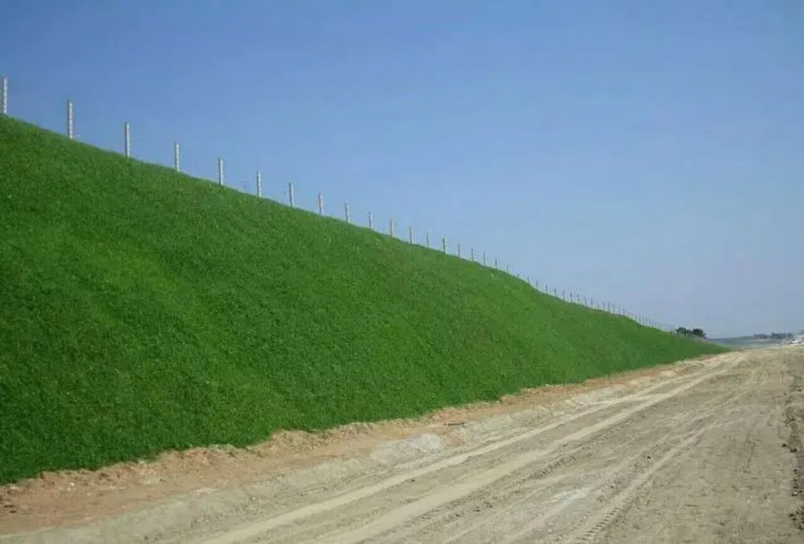 高速公路边坡绿化草种选择