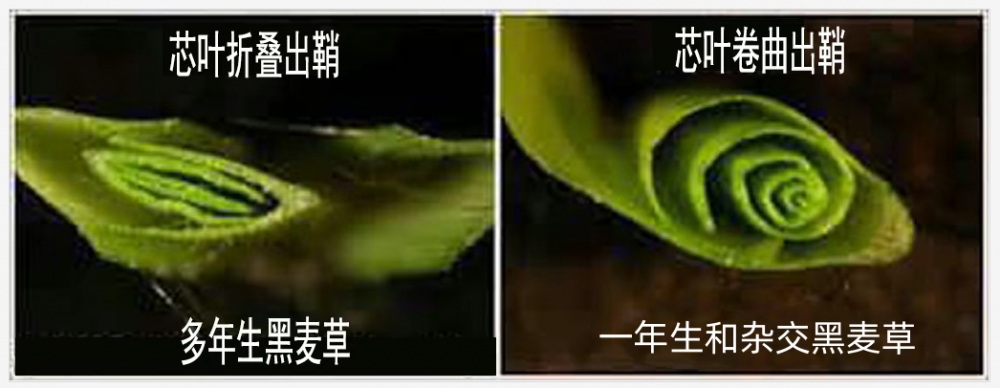 1744767811546