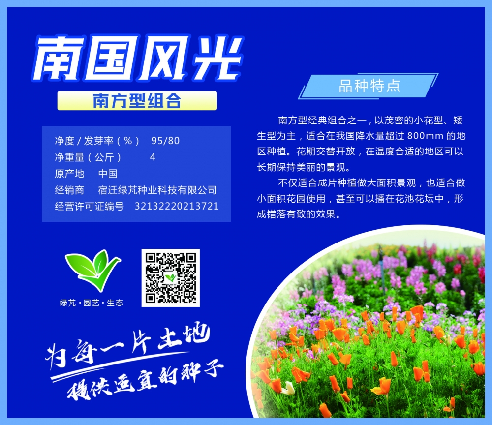 南国风光
