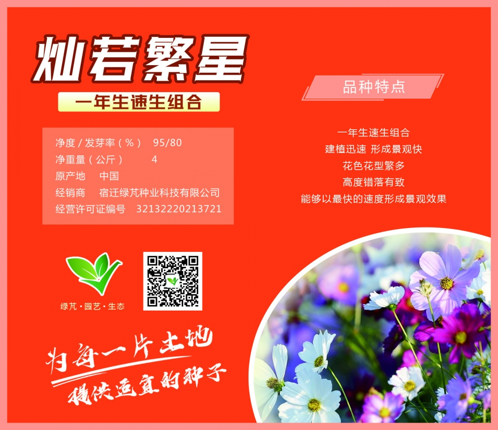 灿若繁星-一年生速生组合