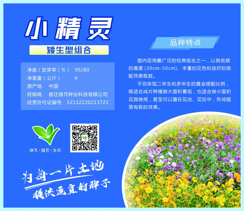 小精灵