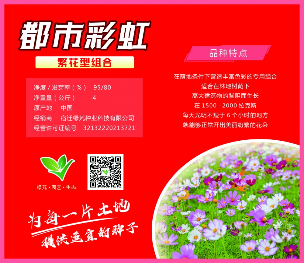 都市彩虹 繁花型