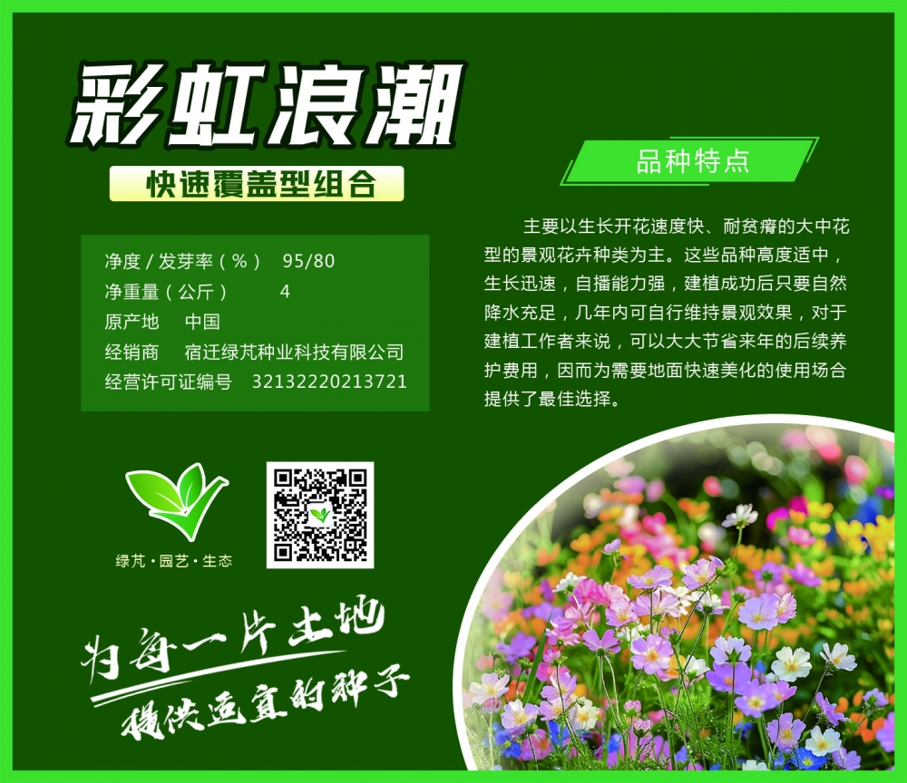 彩虹浪潮