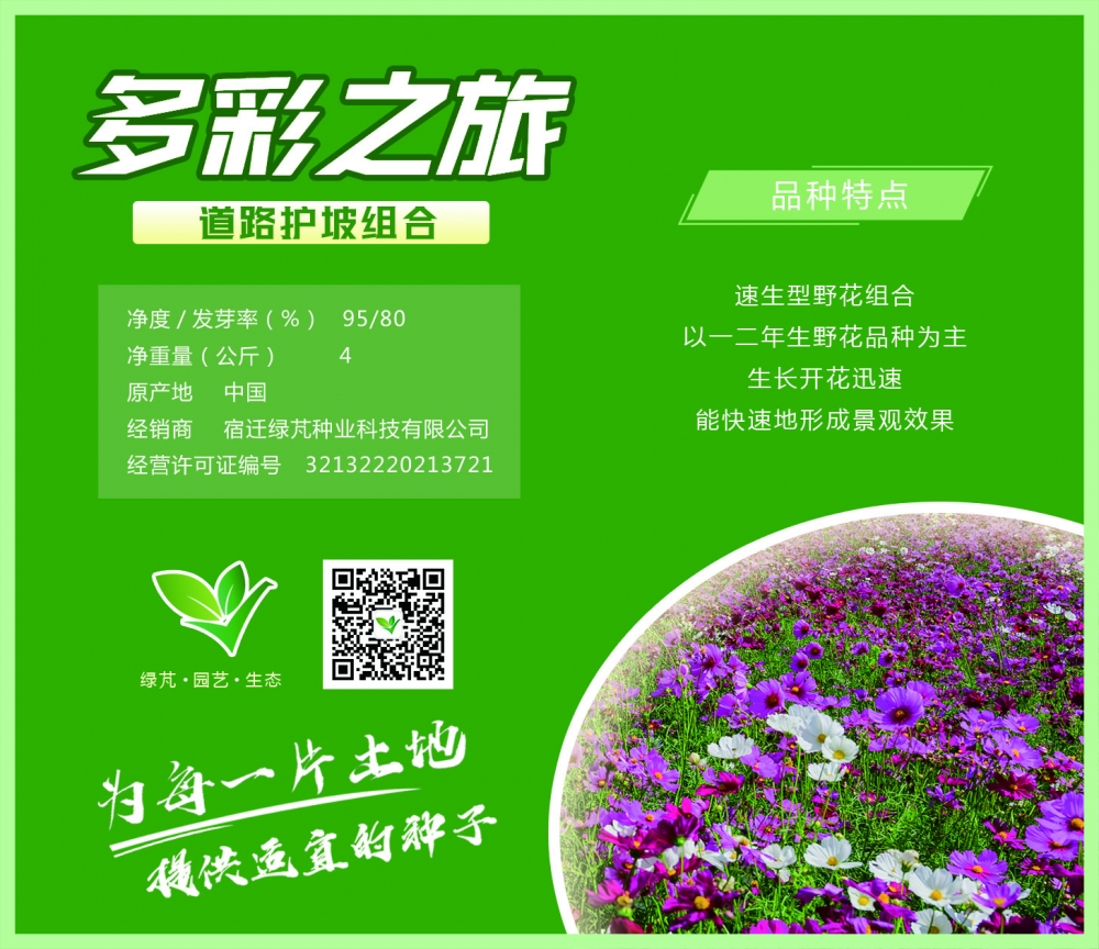 多彩之旅