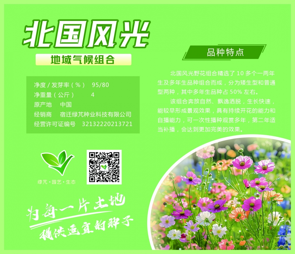 北国风光组合